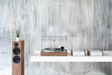 Load image into Gallery viewer, Pro-Ject - The Classic Turntable