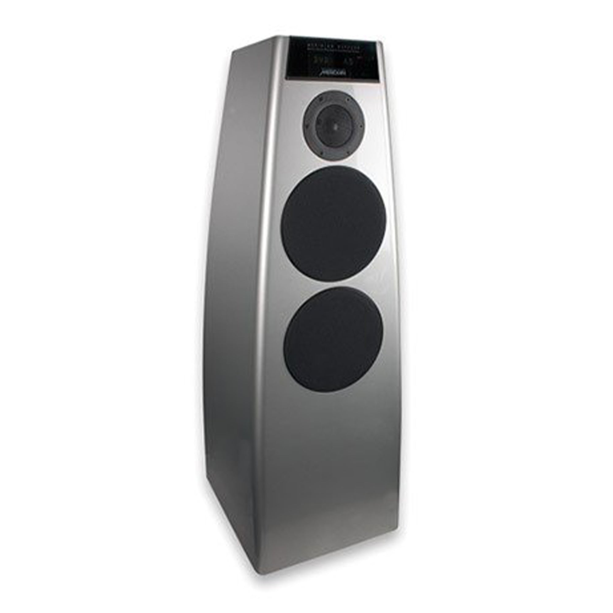 Meridian - DSP5200.2 Speaker